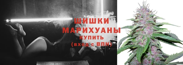 гашик Семилуки