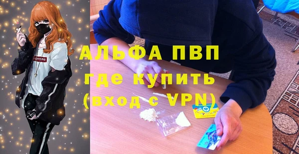 гашик Семилуки